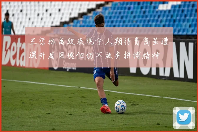 王哲林高效表现令人期待青岛虽遭遇开局困境但仍不放弃拼搏精神